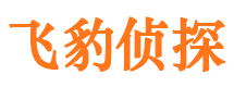 房山市侦探调查公司